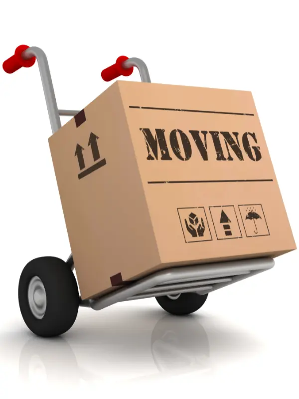Small moves in Maroochydore with local movers carefully delivering a single furniture item