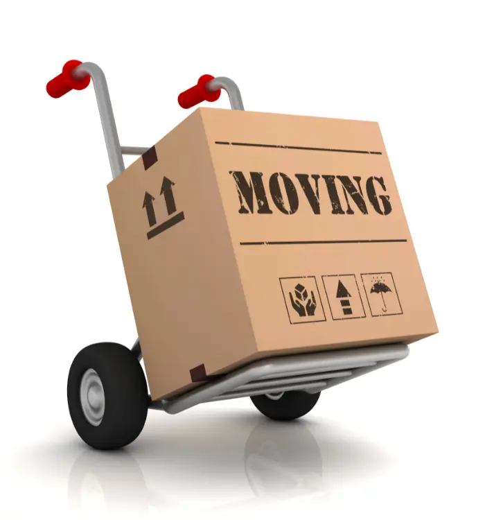 Planning a move on the Sunshine Coast with local removalists